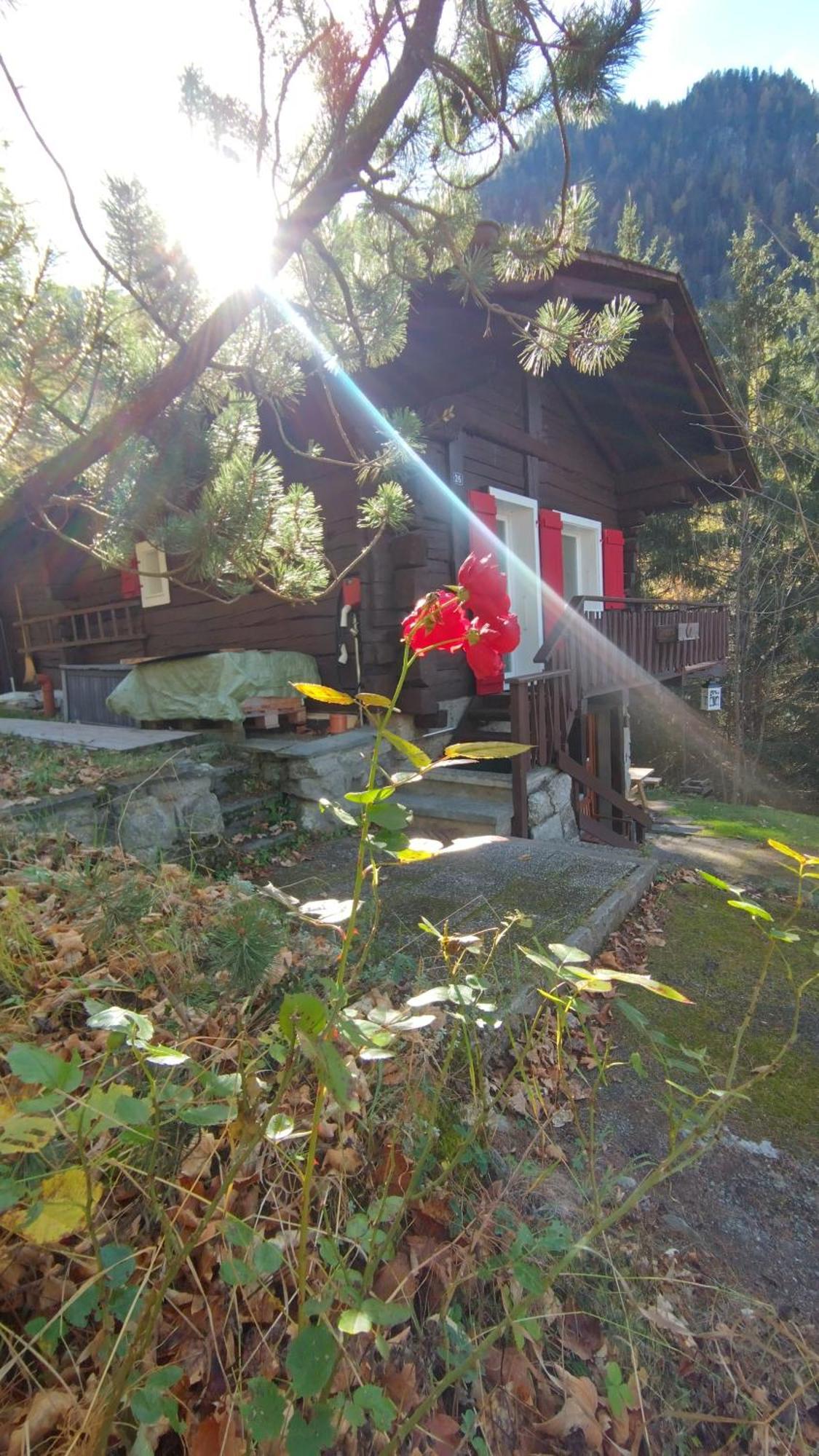 Petit Chalet Rustique Et Bucolique Bovernier Exteriér fotografie